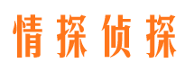 惠安市场调查